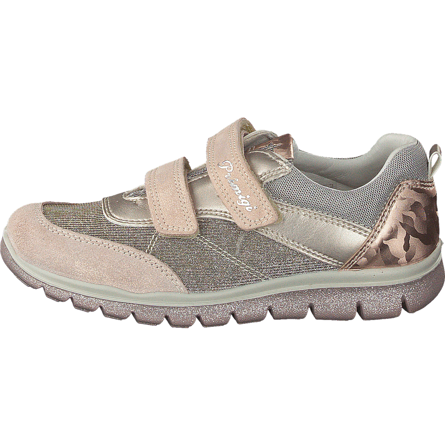 Phl 13729 Skin/corda