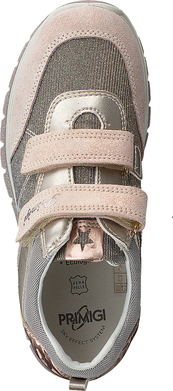 Phl 13729 Skin/corda - Bild 6