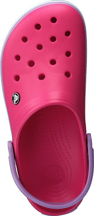 Crocs - Crocband Paradise Pink/iris