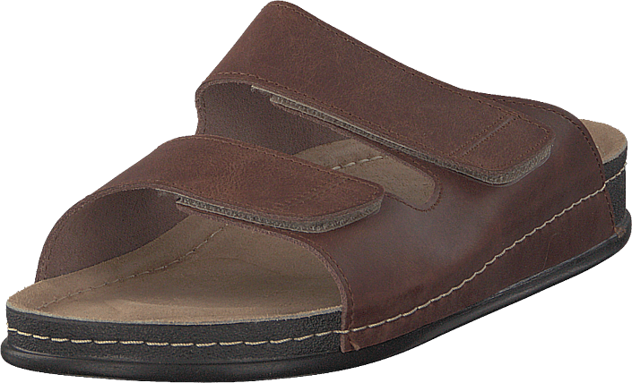 Mohedatoffeln - Neptun Brown