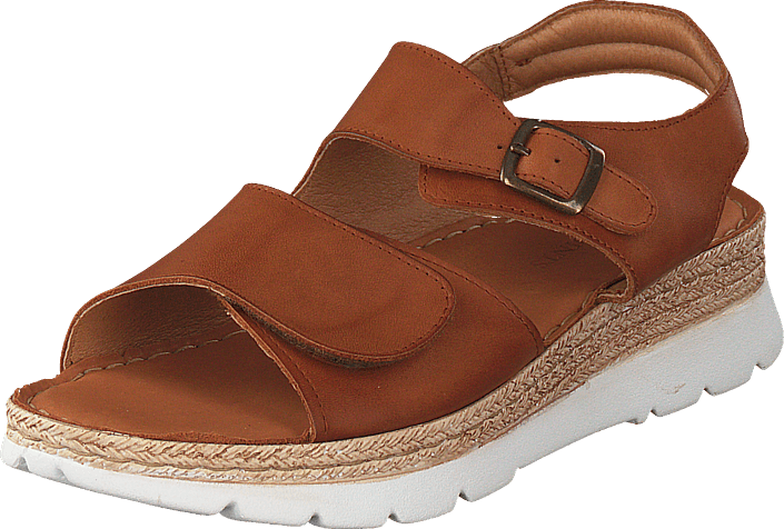 Ten Points - Maya Cognac