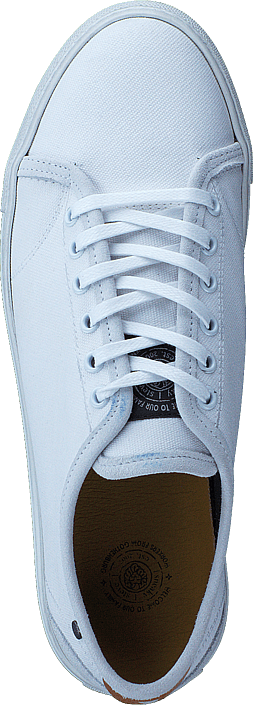 Sneaky Steve - Murphy White Canvas