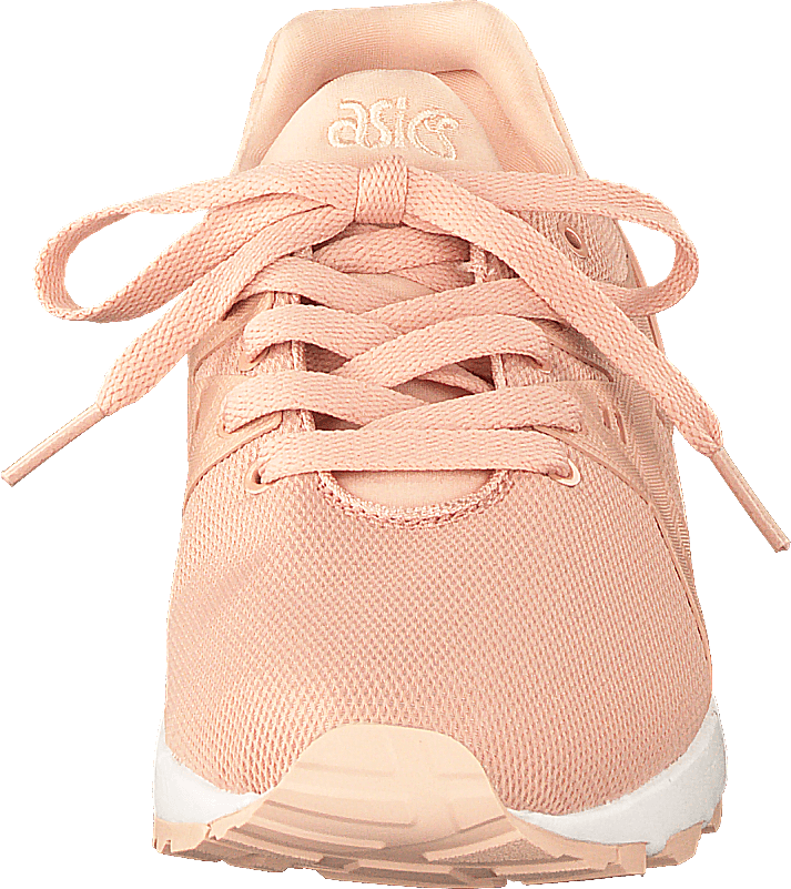Asics gel kayano deals trainer evo gs