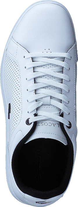 Lacoste - Carnaby Evo 317 10 Wht/ Wht