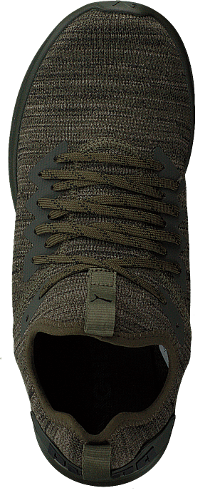 Puma - Ignite Flash Evoknit Forest Night-castor Gray