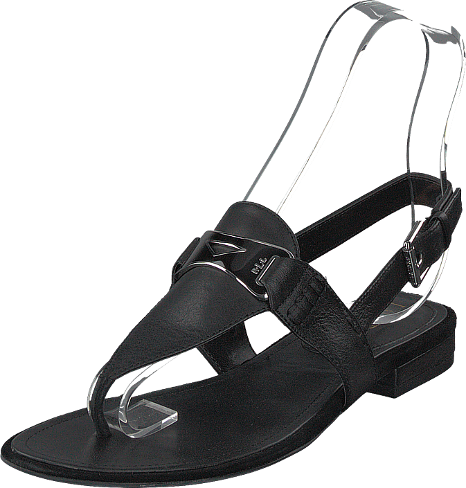 Buy Polo Ralph Lauren Dayna Black Shoes 
