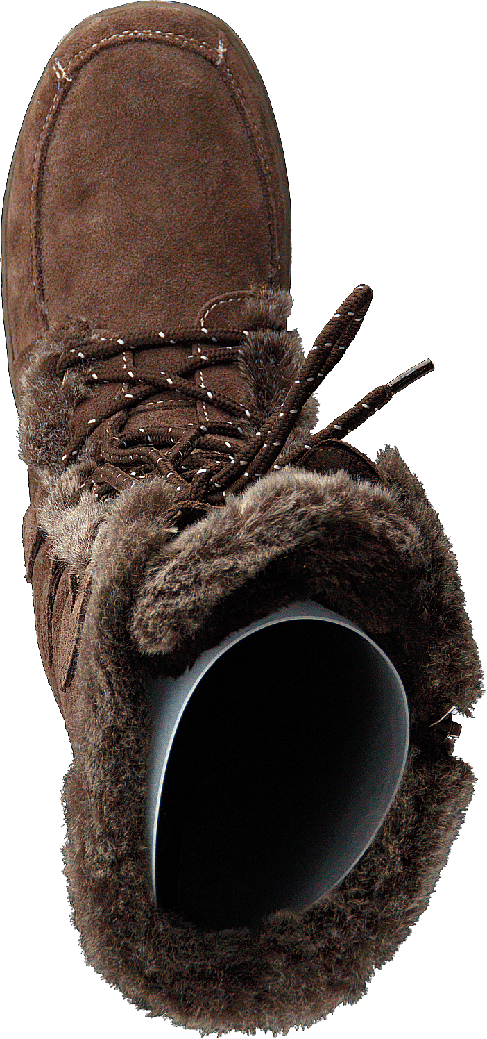 Overton Muschroom - Bild 6