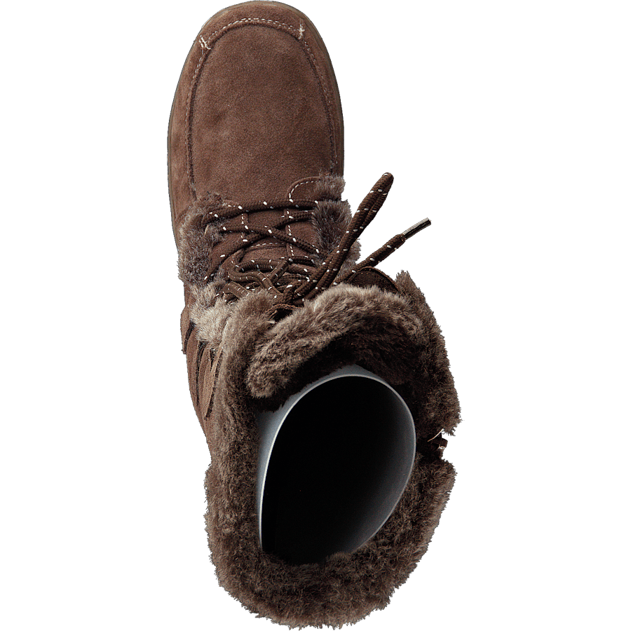 Overton Muschroom - Bild 6