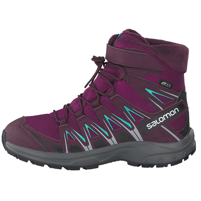 salomon xa pro winter