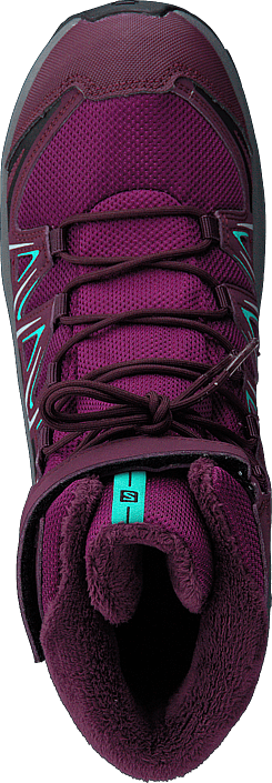 Buy Salomon Xa Pro 3d Winter Ts Cswp J Darkpurple Potentpurple