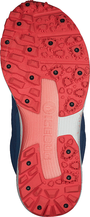 Icebug - Dts4 W Bugrip® Rain/coral