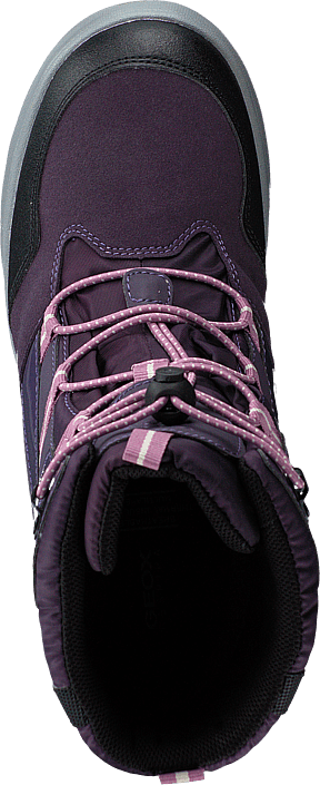 Geox - J Sveggen G. Gbk Violet Lavender
