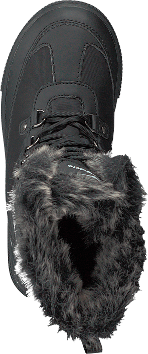 Bagheera - Amber Jr Black