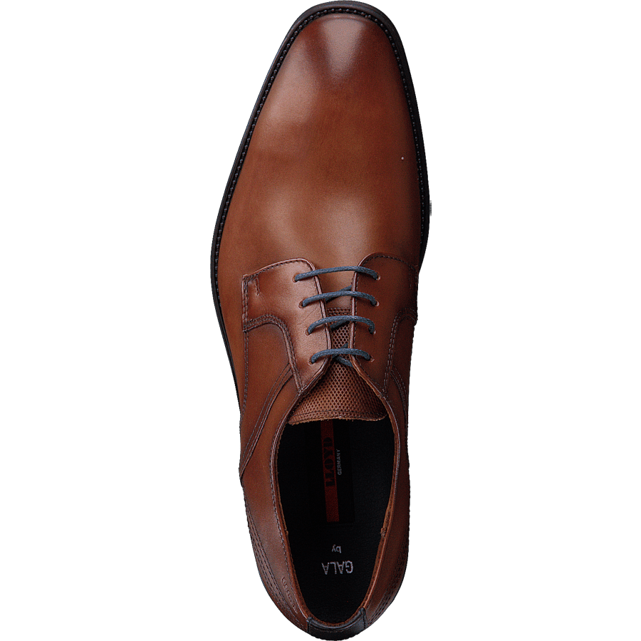 Gala Cognac - Bild 6