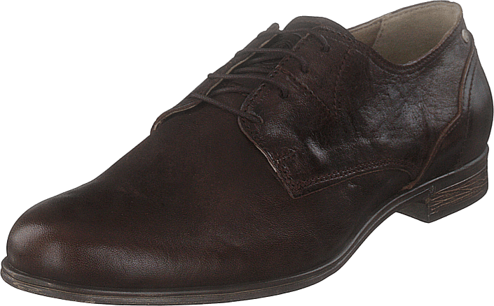 Sneaky Steve - Dirty Low Brown