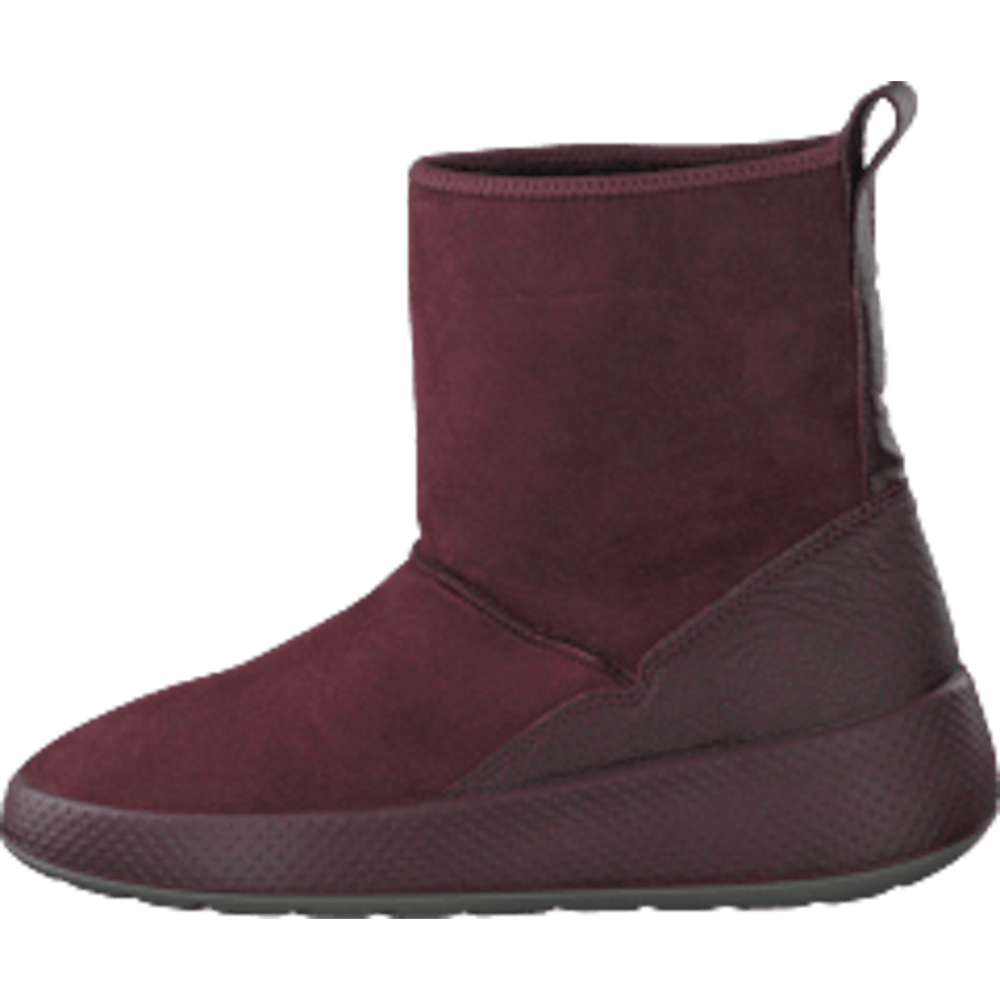 Ukiuk Wine - Bild 10