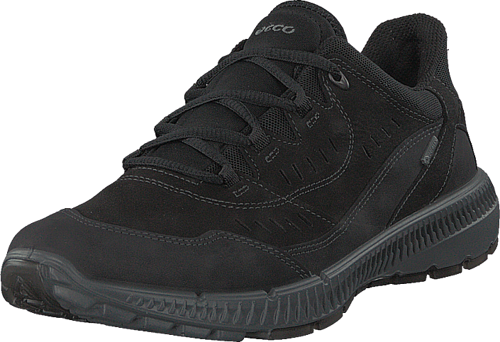 Buy Ecco Terrawalk Black Shoes Online 
