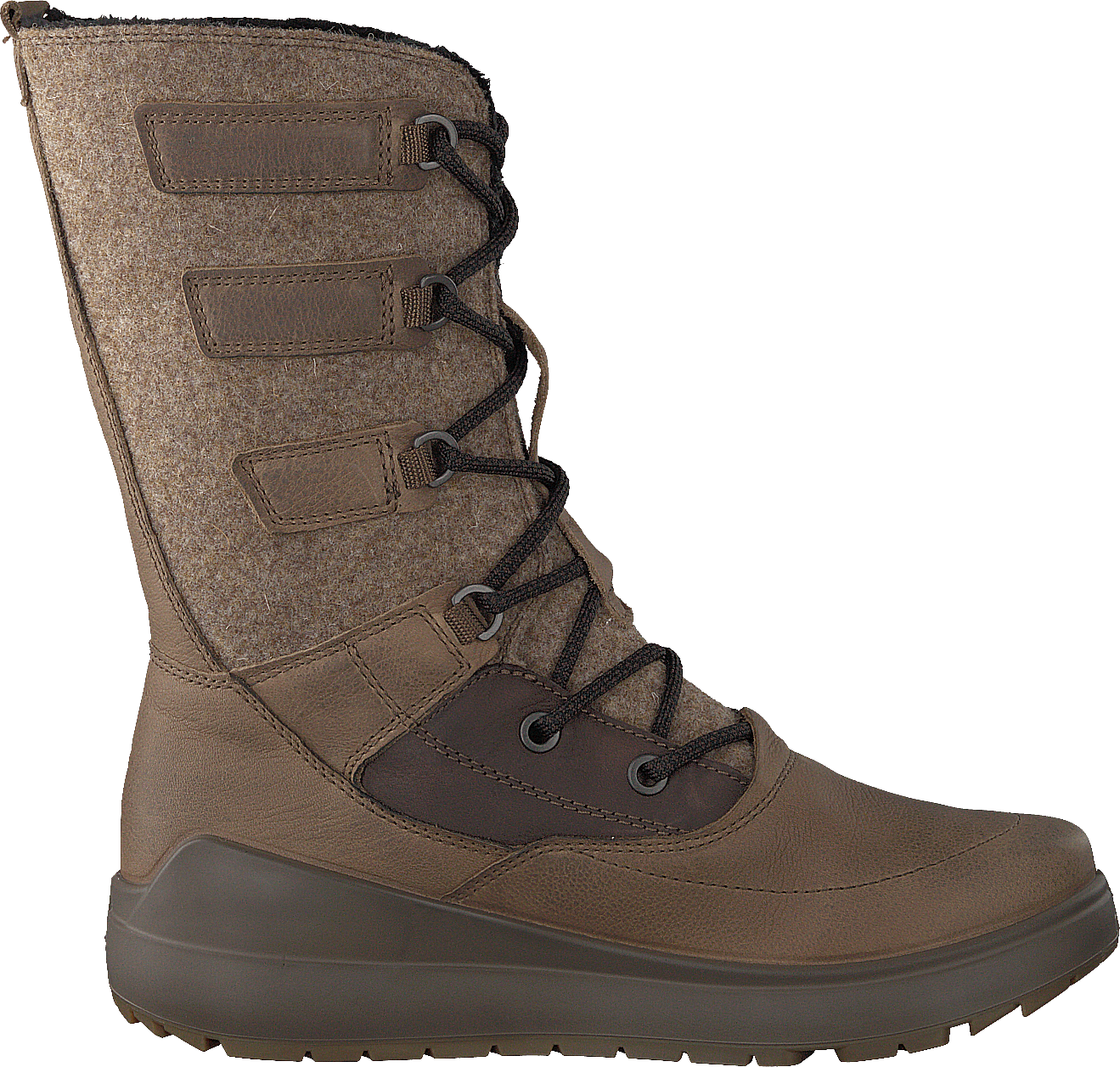 Noyce Birch - Bild 2
