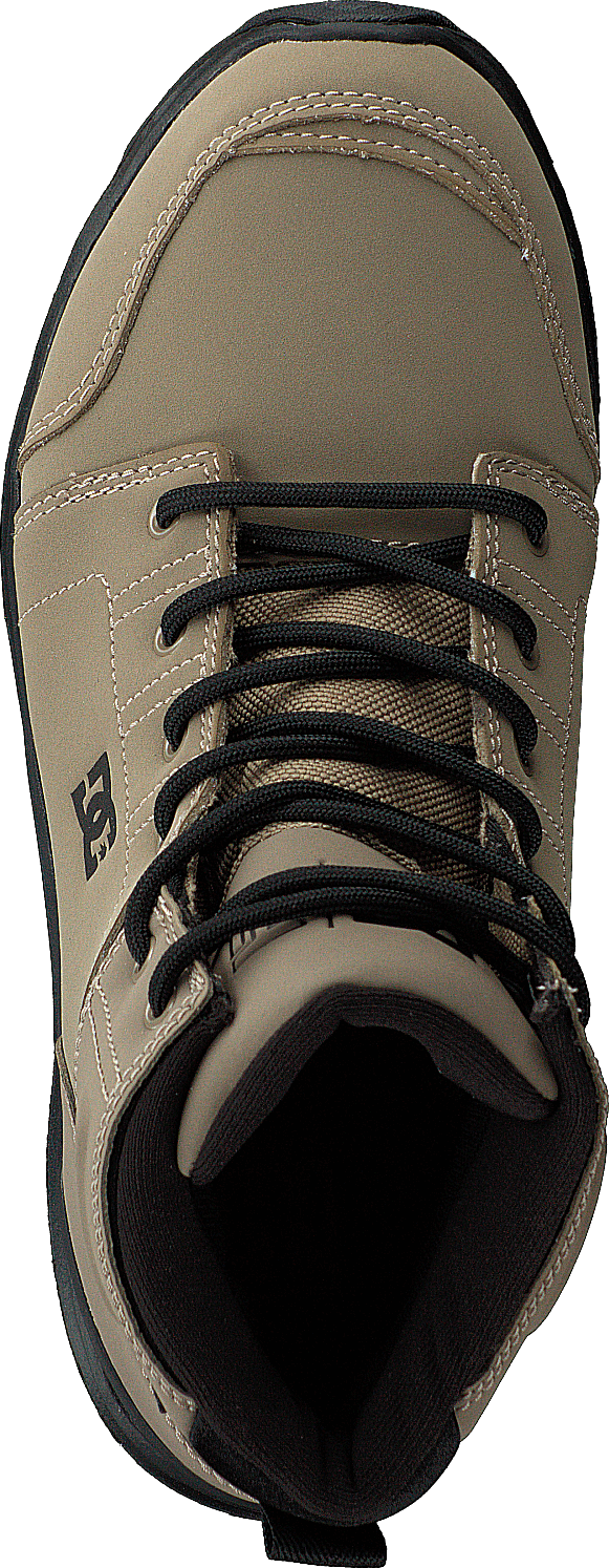 Dc hot sale shoes torstein
