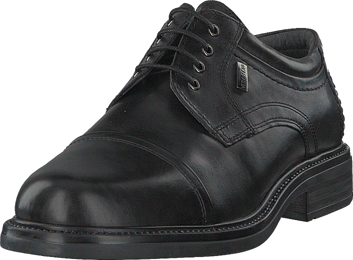 Senator - 479-6504 Black