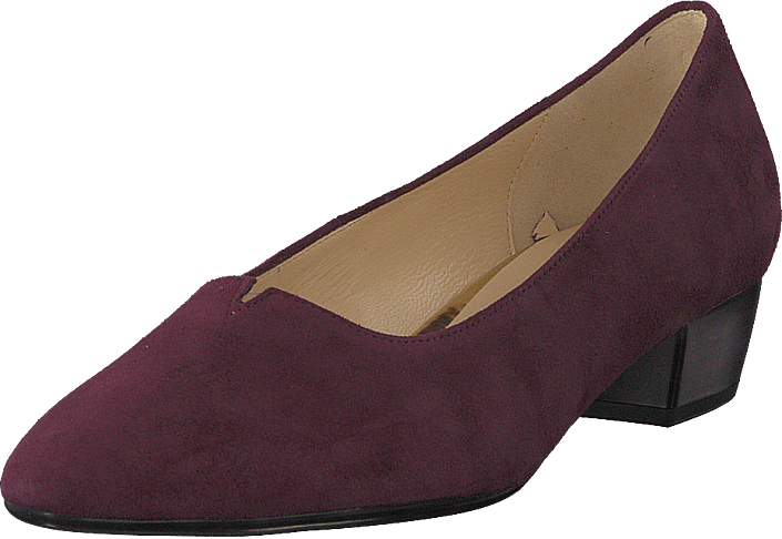 Gabor - 95.130.15 New Merlot
