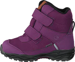 Pax - Panther Purple