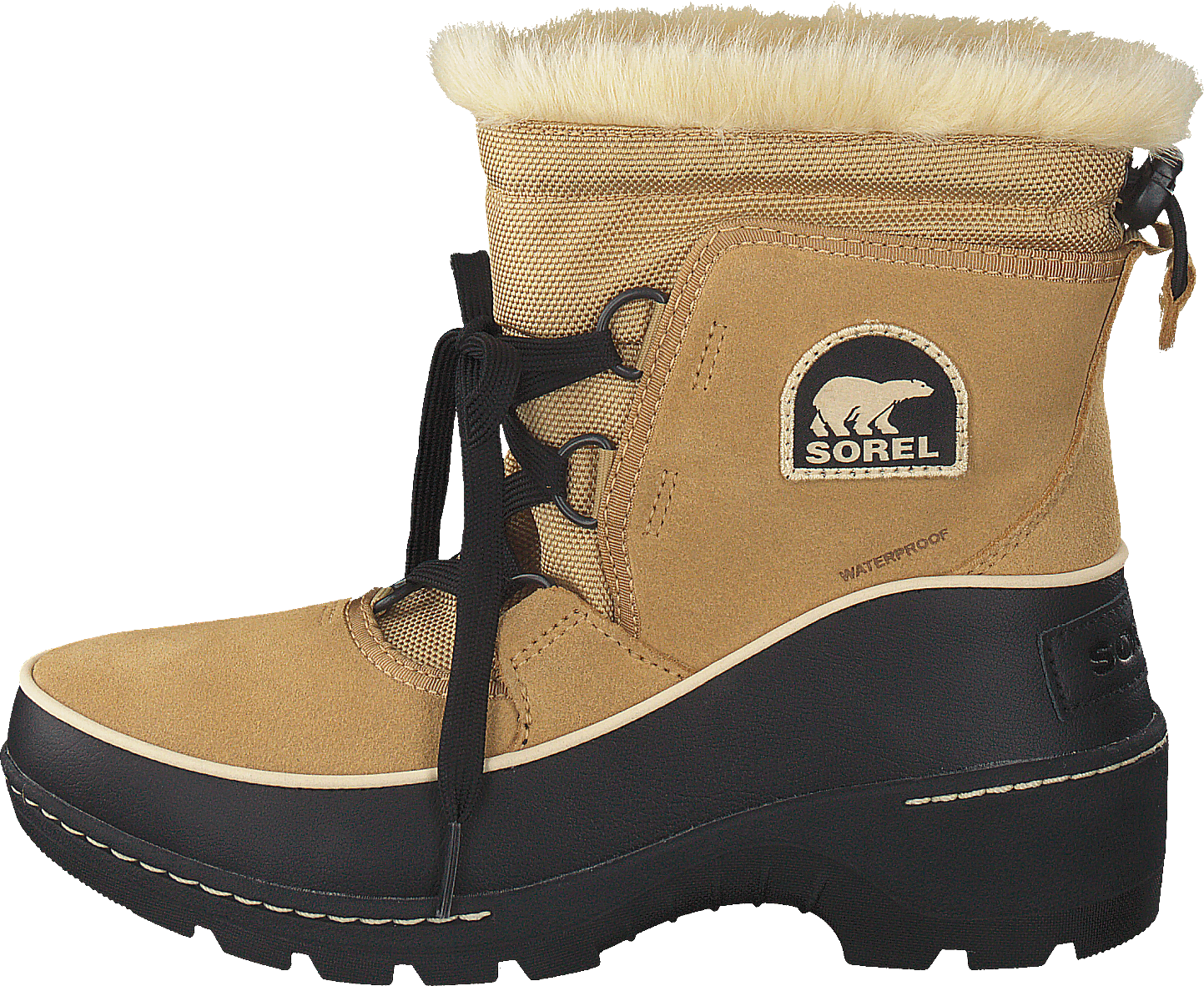 Torino 373 Curry Black