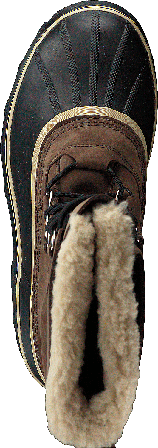 Caribou 238 Bruno - Bild 6