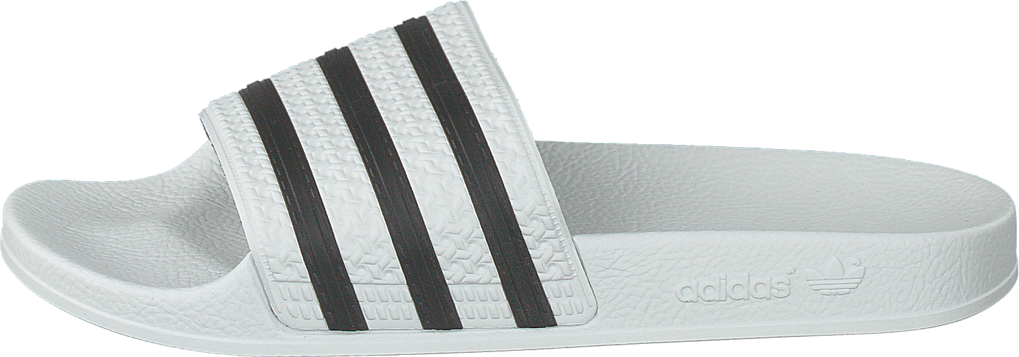 Adilette White/cblack/white