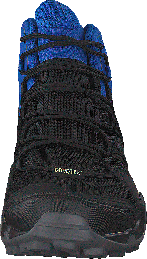 Terrex Ax2r Mid Gtx Cblack/cblack/blubea