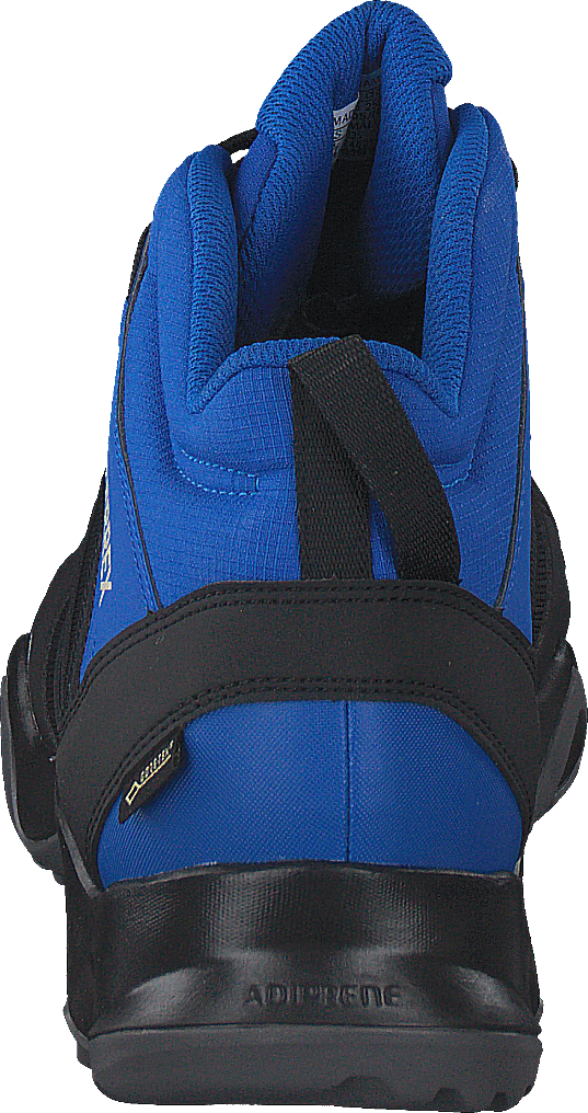 Terrex Ax2r Mid Gtx Cblack/cblack/blubea