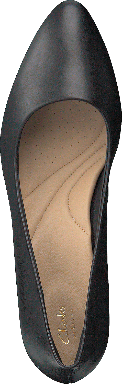 Calla Rose Black - Bild 6