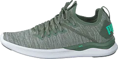 Puma - Ignite Flash Evoknit Wns Wreath-quarry-biscay Green