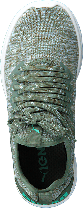 Puma - Ignite Flash Evoknit Wns Wreath-quarry-biscay Green