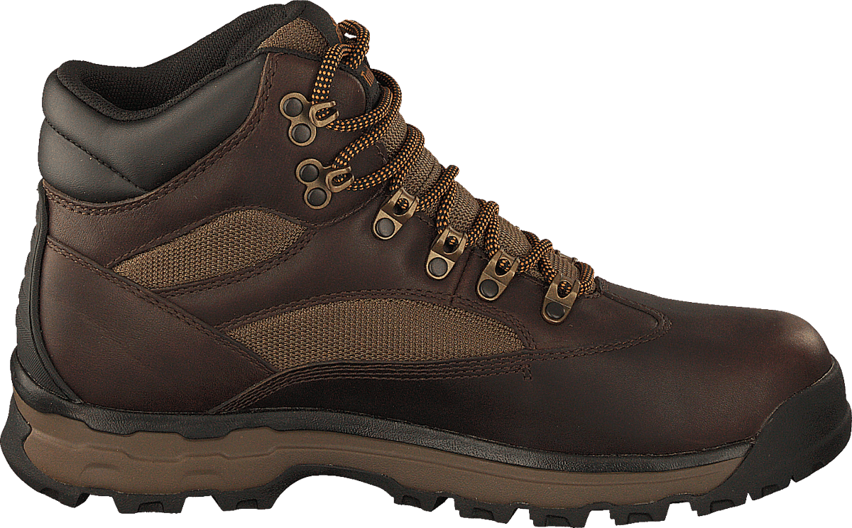 Choccorua Trail Gore-tex Dark Brown