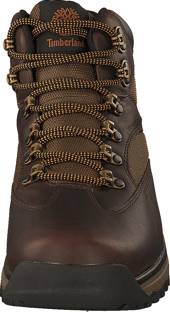 Choccorua Trail Gore-tex Dark Brown