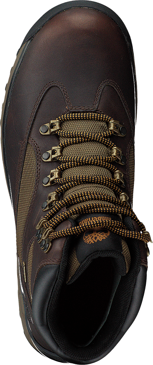 Choccorua Trail Gore-tex Dark Brown