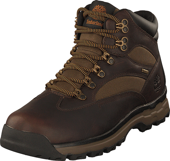 Timberland - Choccorua Trail Gore-tex Dark Brown