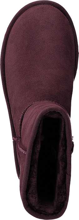 UGG - Classic Short Ii Port