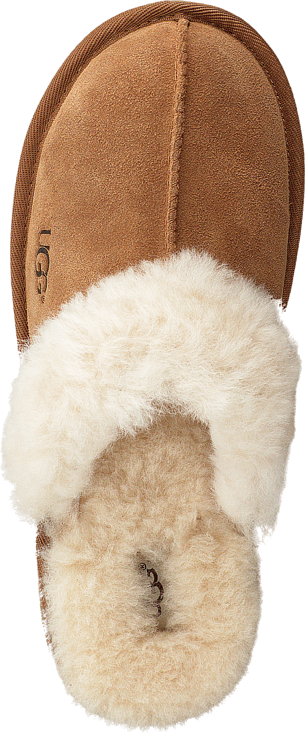 Cozy II Chestnut - Bild 6