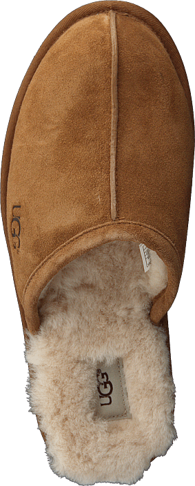 UGG - Scuff Chestnut