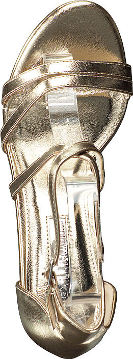 Xti - 35027 Gold