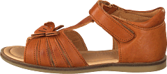 Bisgaard - 70256.119.505 Cognac
