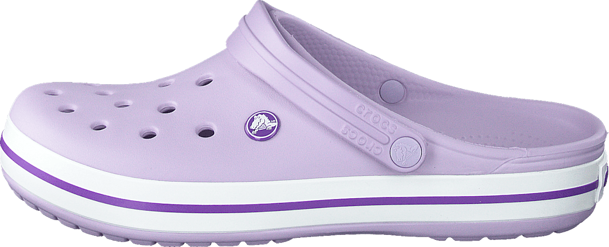 Crocband Lavender/purple