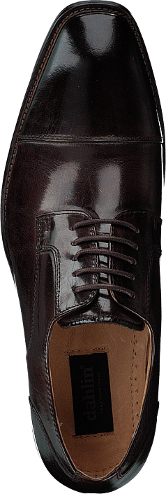 Dahlin - Kinsale Dark Brown