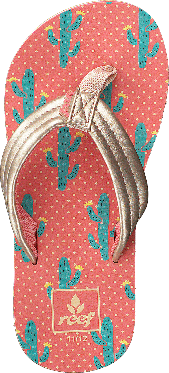 Little Ahi Cactus - Bild 6