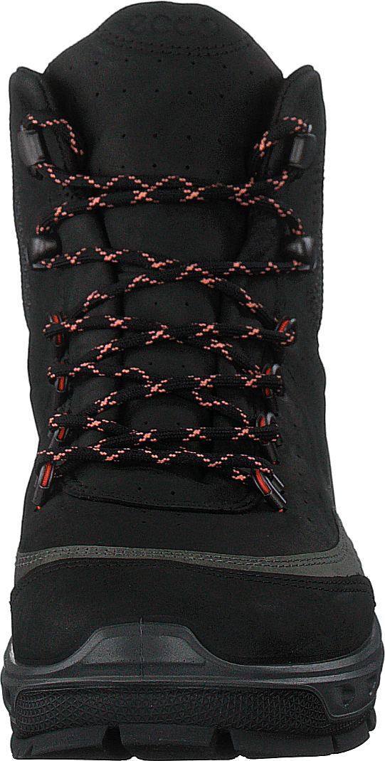 Ecco biom venture tr deals