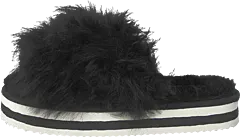 Shepherd - Lilly Black