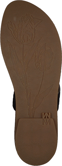 El Naturalista - Tulip Ibón Black