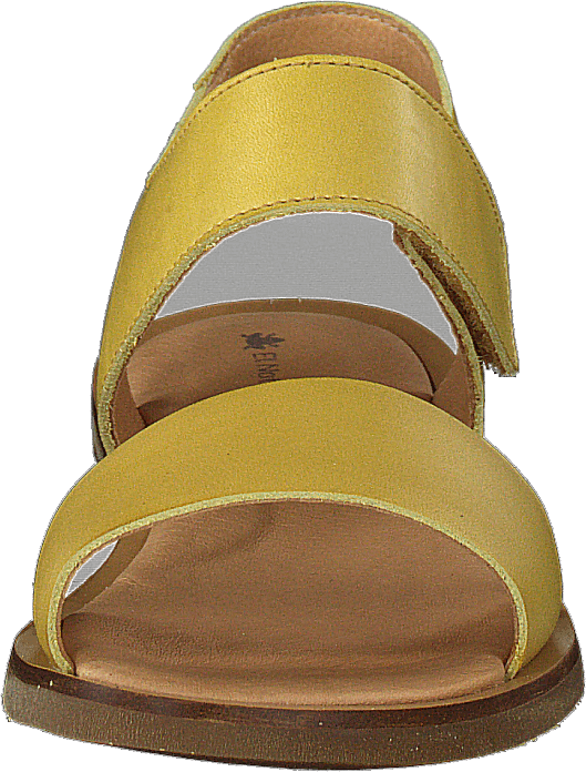 Tulip Ibón Mustard - Bild 4